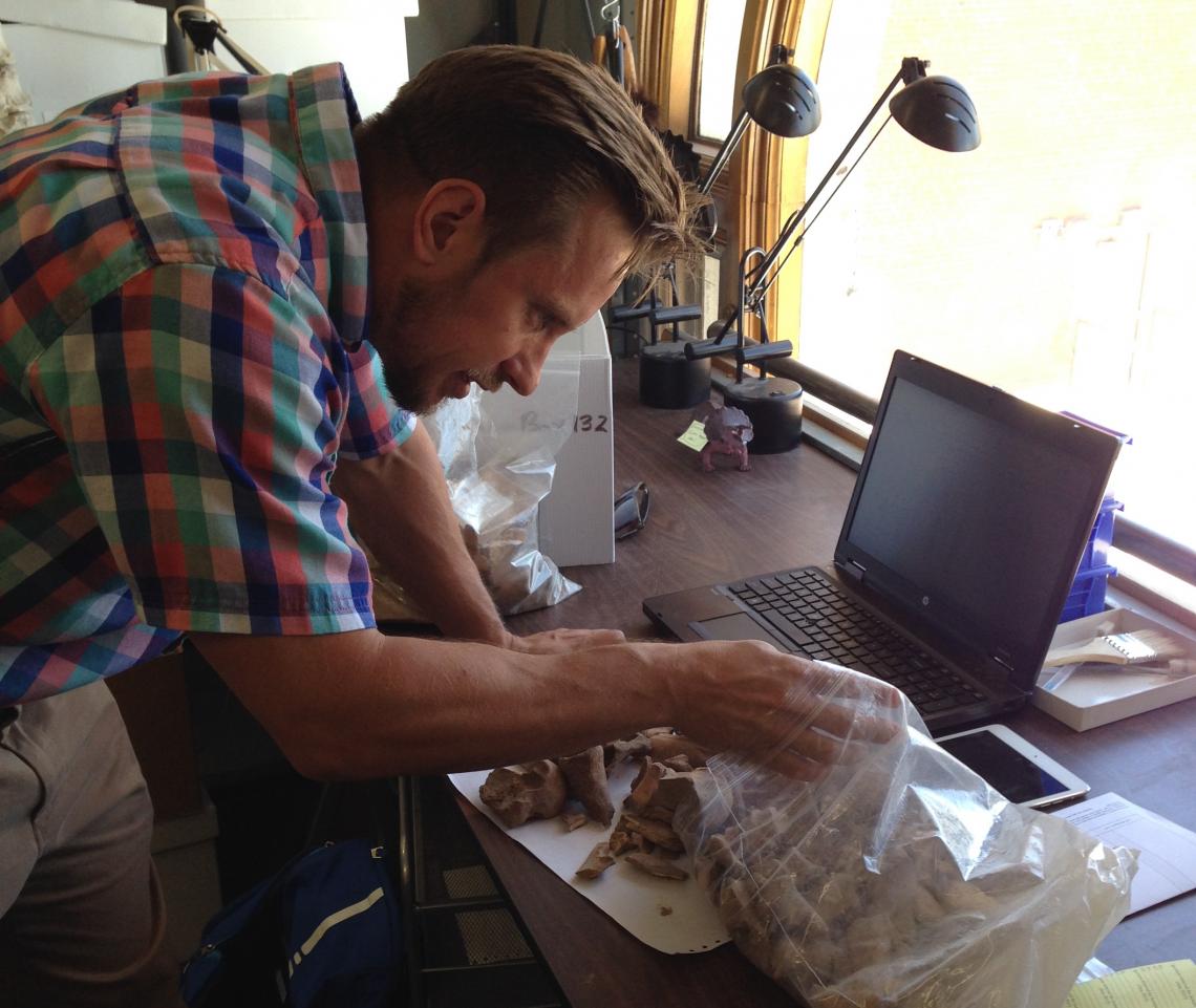 Alex Ruff sorts livestock teeth in the UA's zooarchaeology lab.