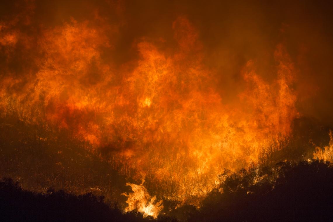 The Thomas Fire devastated parts of California in 2017, burning 281,893 acres, destroying 1,063 structures and damaging 280 more. 