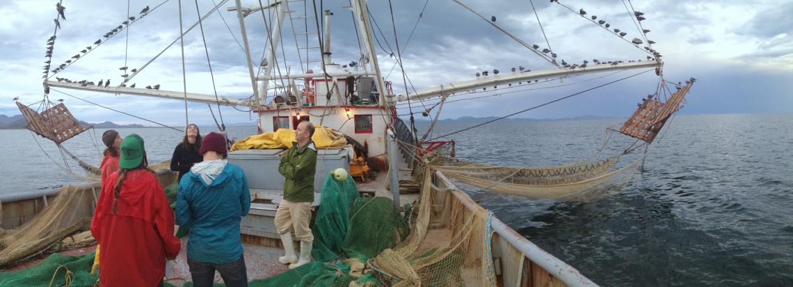 UA Arts, Environment and Humanities Network members Eric Magrane and marine conservationist Maria Johnson have been studying bycatch, the unwanted marine life caught in the nets of commercial fishers. Like other network members, Magrane and Johnson are tr UA Arts, Environment and Humanities Network members Eric Magrane and marine conservationist Maria Johnson have been studying bycatch, the unwanted marine life caught in the nets of commercial fishers. Like other network members, Magrane and Johnson are tr