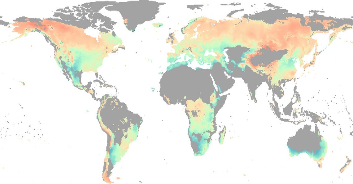 The growth of forest trees in temperate and boreal regions became more limited by water rather than temperature as the 20th century warmed. The more orange-red the area on the map, the more trees in that region became limited by water availability. 