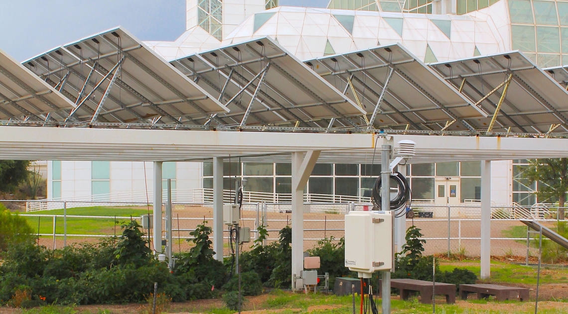 These results of a new UA-led study suggest that the novel co-location of agriculture and solar photovoltaic arrays could have synergistic effects that support the production of ecosystem services such as crop production, local climate regulation, water c These results of a new UA-led study suggest that the novel co-location of agriculture and solar photovoltaic arrays could have synergistic effects that support the production of ecosystem services such as crop production, local climate regulation, water c