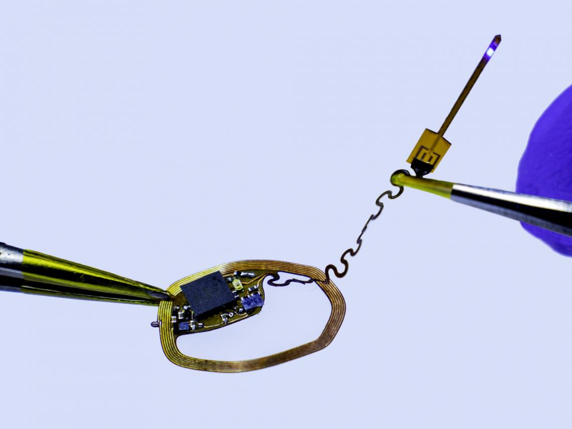 Recording the activity of individual neurons is made possible by this tiny, wireless, battery-free device. Recording the activity of individual neurons is made possible by this tiny, wireless, battery-free device.