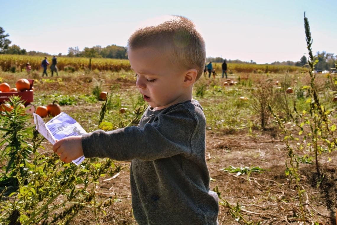 Children who live on farms, where they are exposed to sources of environmental bacteria such as livestock and dusty barns, are less likely to develop asthma. 