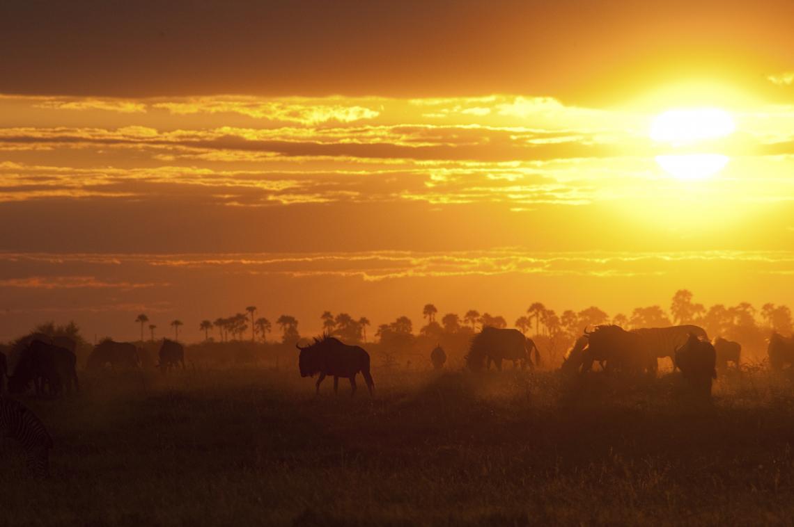 Driven by the concern that most land is under some form of human use or occupation, the scientists participating in SPARC want to take advantage of what they call the closing window of opportunity to influence the placement of future land purchases and co