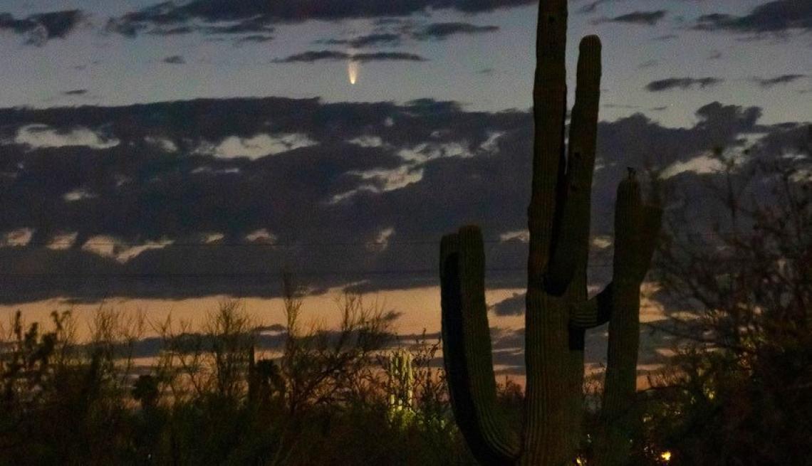 Comet NEOWISE captured on July 6, 2020 above the northeast horizon just before sunrise in Tucson. Viewers in the region can find the comet in the northeastern sky near the horizon between 4 and 4:30 a.m. until July 11, after which it will be visible in th Comet NEOWISE captured on July 6, 2020 above the northeast horizon just before sunrise in Tucson. Viewers in the region can find the comet in the northeastern sky near the horizon between 4 and 4:30 a.m. until July 11, after which it will be visible in th
