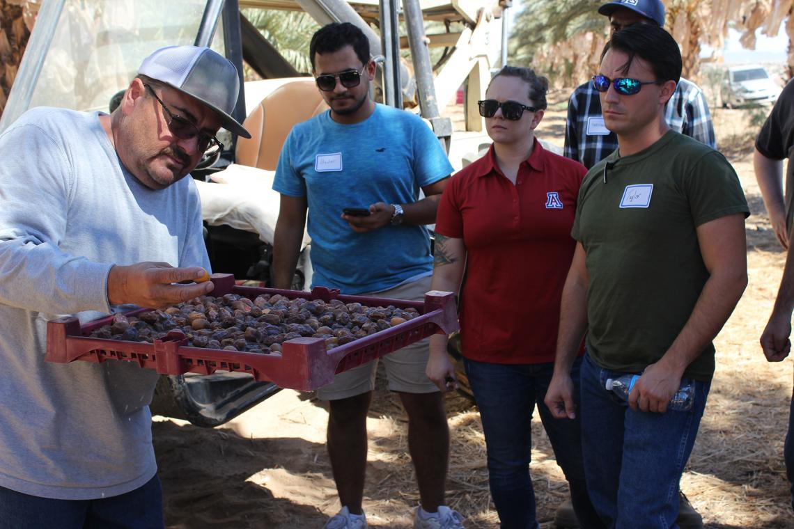 From left: Field supervisor Tony Sanchez, electrical and computer engineering undergraduate Bader Mubarak Alzahrani, and Eller MBA students Randi Mitchell and Taylor Hadden inspect dates at Bard Date Co. in Yuma, Arizona. From left: Field supervisor Tony Sanchez, electrical and computer engineering undergraduate Bader Mubarak Alzahrani, and Eller MBA students Randi Mitchell and Taylor Hadden inspect dates at Bard Date Co. in Yuma, Arizona.