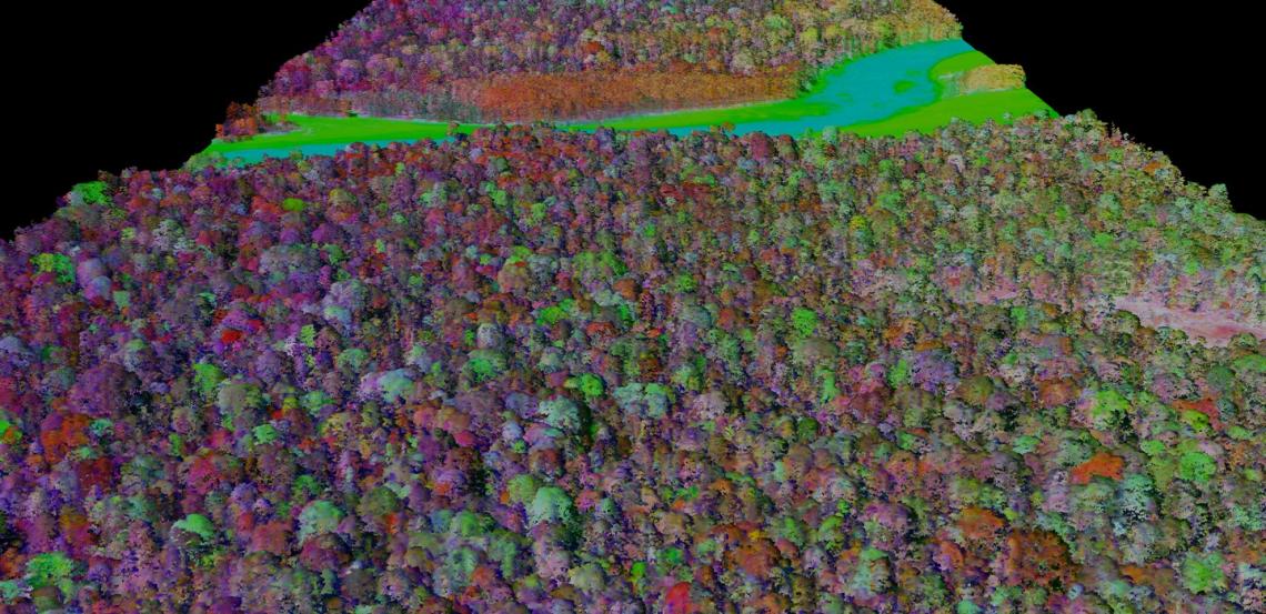 The lowland Amazon rainforest canopy as seen by the Global Airborne Observatory. Different colors represent different spectral fingerprints. The lowland Amazon rainforest canopy as seen by the Global Airborne Observatory. Different colors represent different spectral fingerprints.