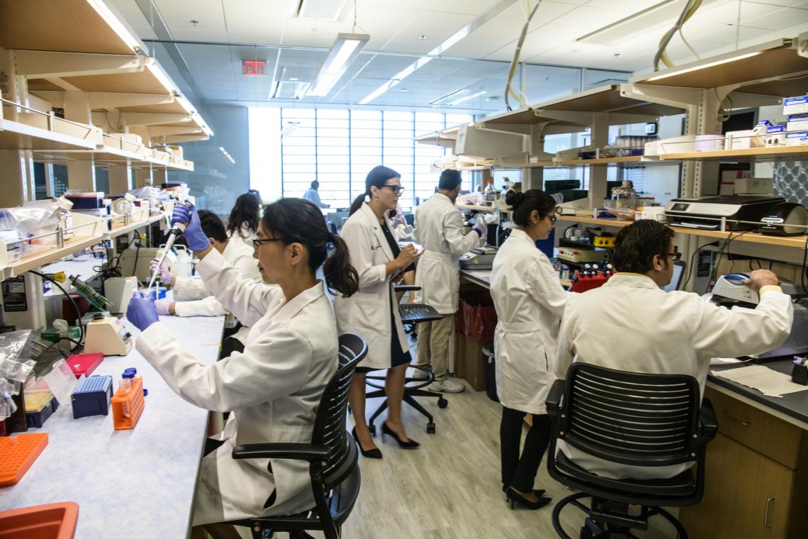 At work in the Hecker Lab. From left: Sunny Palumbo, Louise Hecker, Reena Chawla, and Gajanan Inamdar 