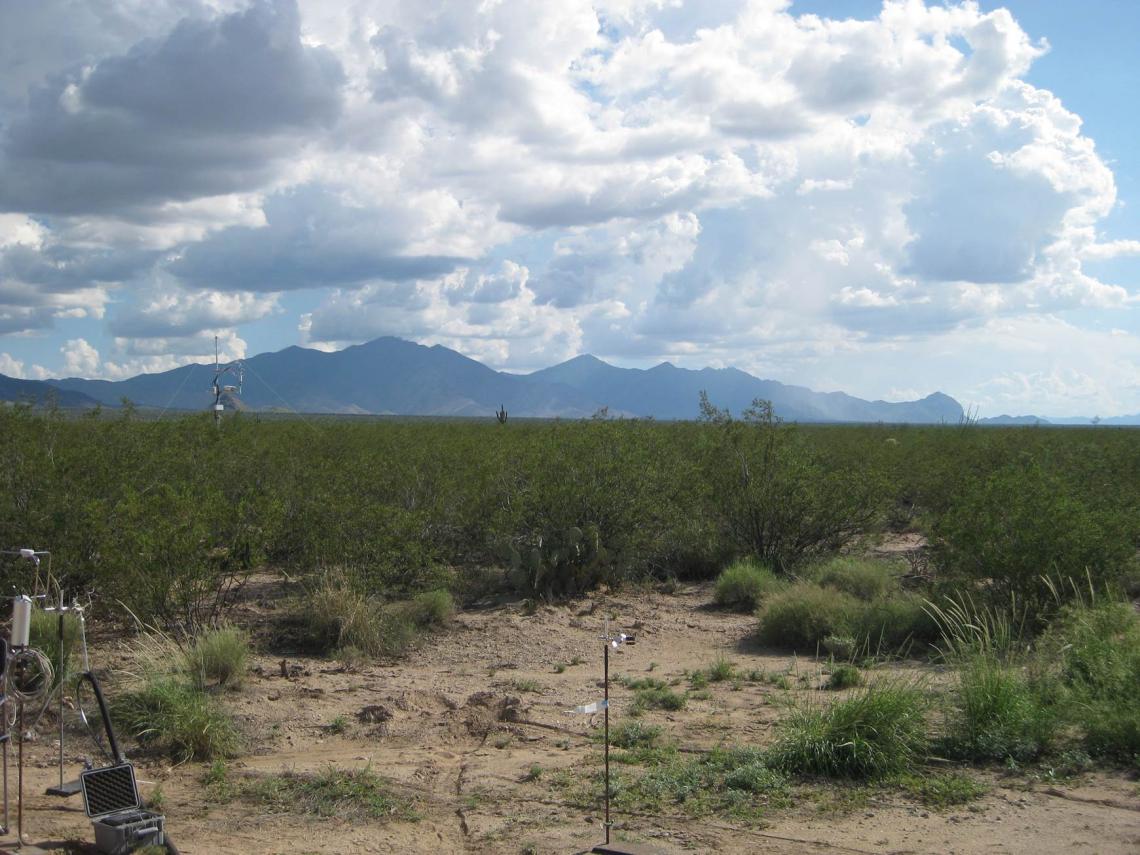 Chemical odor plume measurements were made by proton transfer reaction mass spectrometry and anemometry in the University of Arizona Santa Rita Experimental Range. 