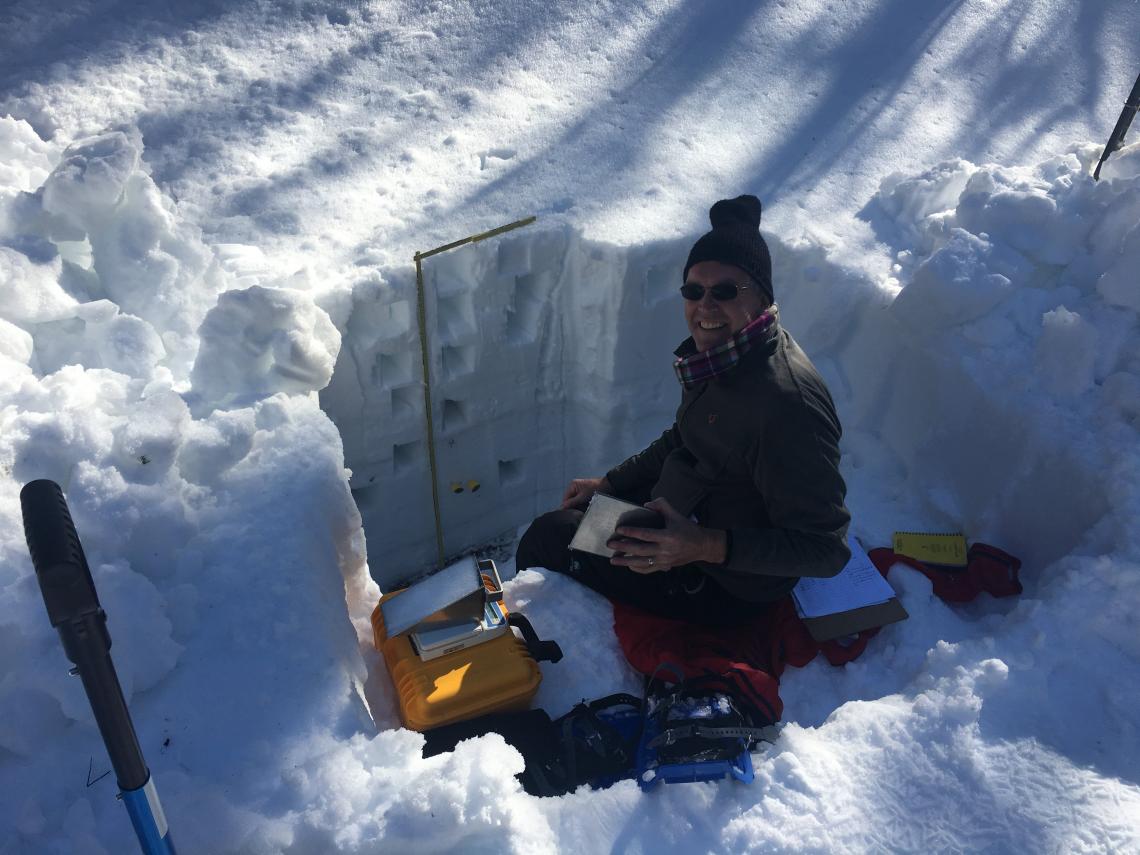 Willem van Leeuwen, a UA professor of natural resources and the environment, measures snowpack in a "snow pit" along Arizona's Mogollon Rim during a snow survey in 2017. Willem van Leeuwen, a UA professor of natural resources and the environment, measures snowpack in a "snow pit" along Arizona's Mogollon Rim during a snow survey in 2017.