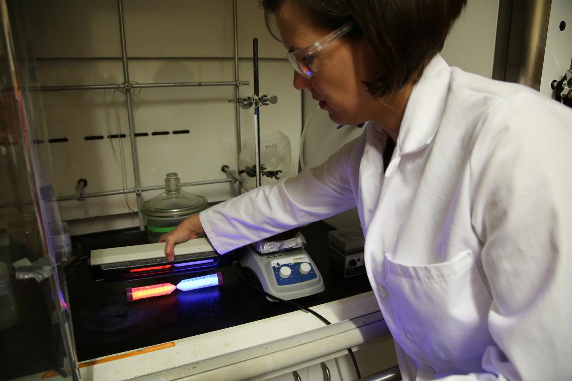 Co-inventor Colleen Janczak uses a fluorescent light to illuminate the new nanomaterials. Co-inventor Colleen Janczak uses a fluorescent light to illuminate the new nanomaterials.