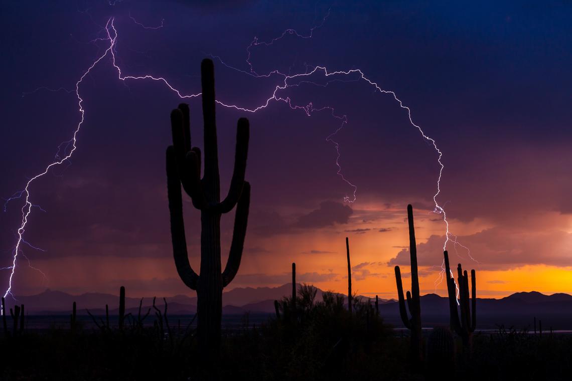 Monsoon storms are definitely on their way to Southern Arizona, though predictions of when they will start vary. 