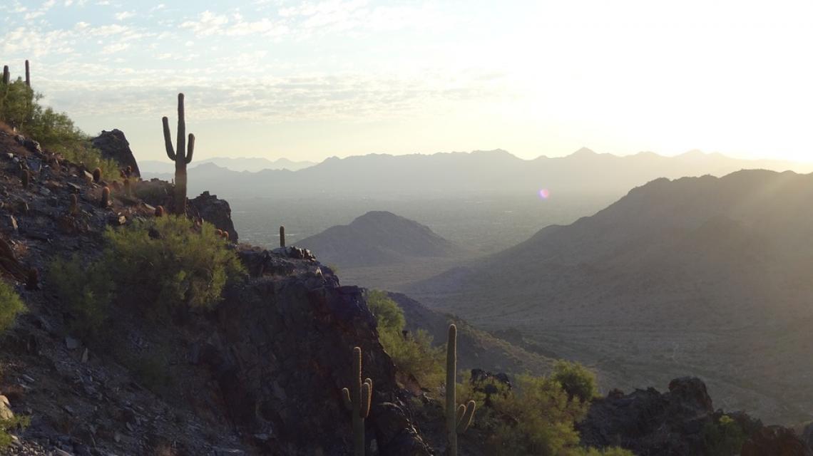 Local variations in topography could buffer saguaros from the harsh realities of climate change. Local variations in topography could buffer saguaros from the harsh realities of climate change.