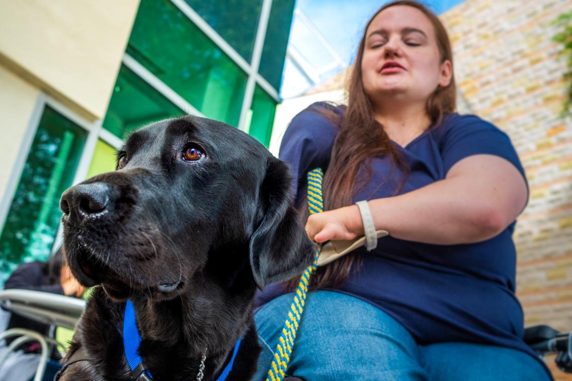 Shelby Smith was matched with her assistance dog Picasso through the nonprofit Canine Companions for Independence. UA researcher Evan MacLean is looking for ways to help organizations like Canine Companions identify promising assistance dogs sooner. Shelby Smith was matched with her assistance dog Picasso through the nonprofit Canine Companions for Independence. UA researcher Evan MacLean is looking for ways to help organizations like Canine Companions identify promising assistance dogs sooner.