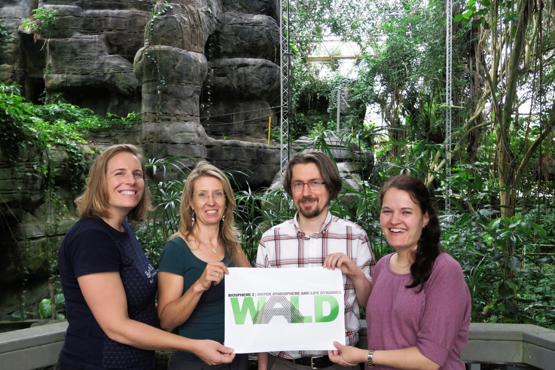 Biosphere 2 WALD members : UA assistant professor Laura Meredith, University of Freiburg professor Christiane Werner, University of Texas - Austin assistant professor Pawel Misztal and University of Freiburg postdoctoral fellow Ines Bamberger. Biosphere 2 WALD members : UA assistant professor Laura Meredith, University of Freiburg professor Christiane Werner, University of Texas - Austin assistant professor Pawel Misztal and University of Freiburg postdoctoral fellow Ines Bamberger.