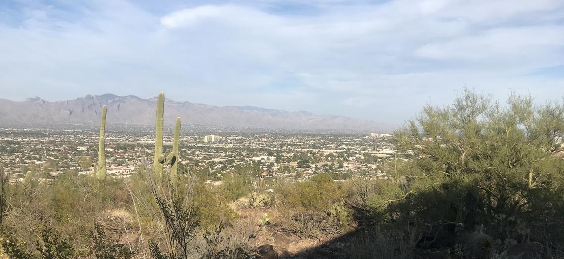 Anywhere from 1,000 to 2,000 daily visitors coexist with a largely unknown number of wildlife on Tumamoc Hill. Anywhere from 1,000 to 2,000 daily visitors coexist with a largely unknown number of wildlife on Tumamoc Hill.