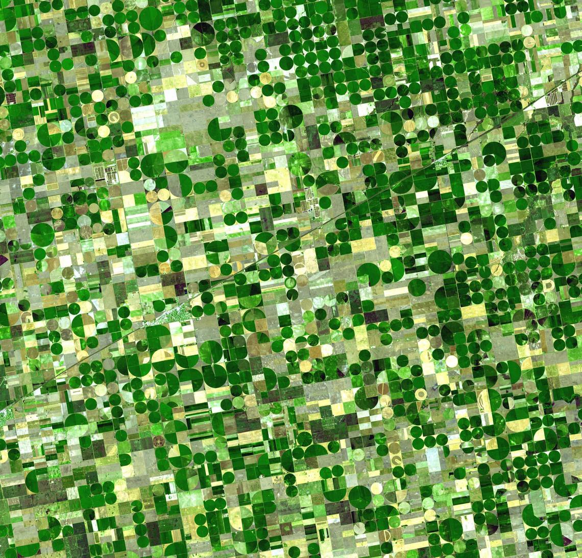 The green circles in this satellite image of southwestern Kansas are crops being watered by central pivot irrigation, which draws water from a well in the center of each field. Some of the water is groundwater from deep under the Great Plains states. The green circles in this satellite image of southwestern Kansas are crops being watered by central pivot irrigation, which draws water from a well in the center of each field. Some of the water is groundwater from deep under the Great Plains states.