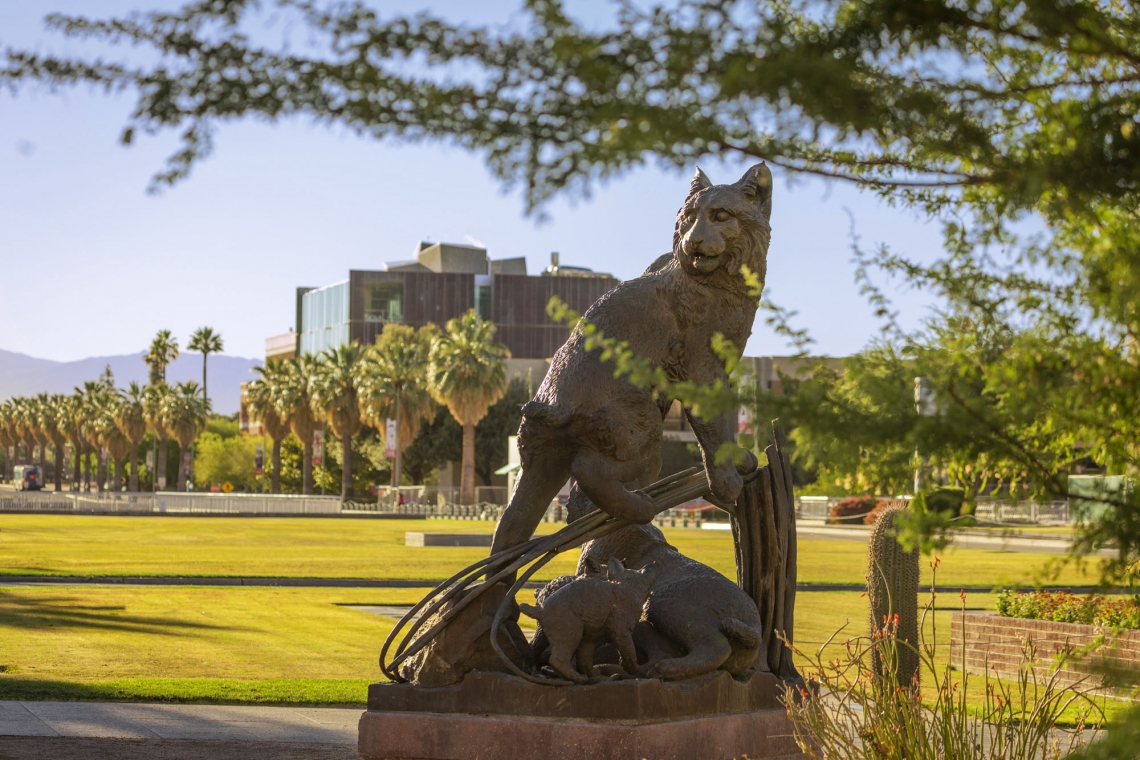 wildcat statue
