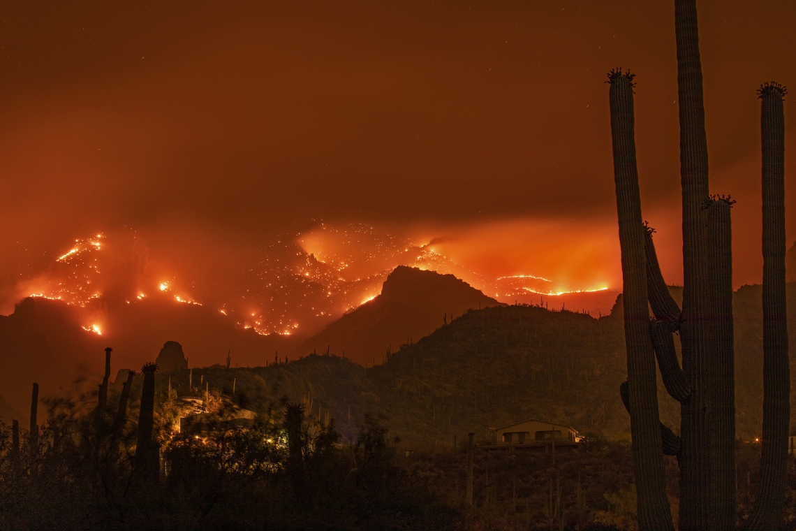 wildfire wildfire