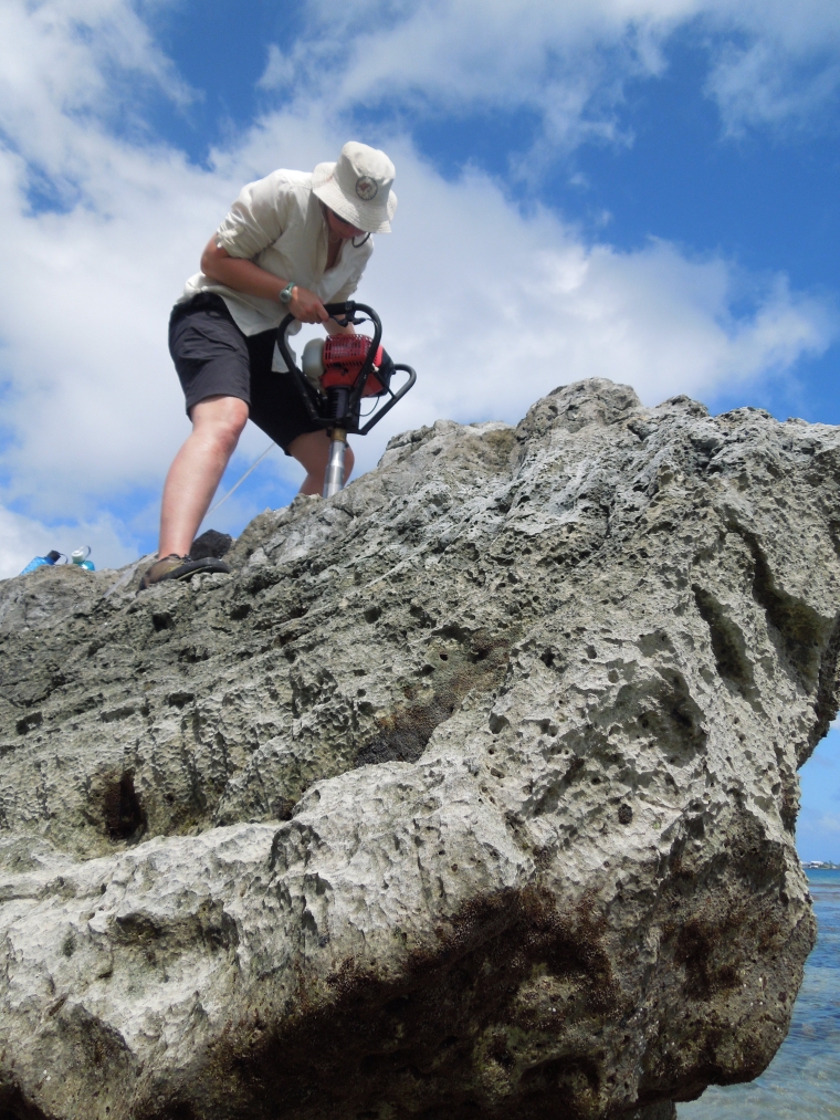 Q&A: What ancient coral reefs can tell us about our changing climate, Imperial News