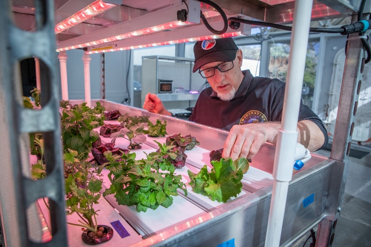 A man looking over plants growing on a shelf in the foreground A man looking over plants growing on a shelf in the foreground