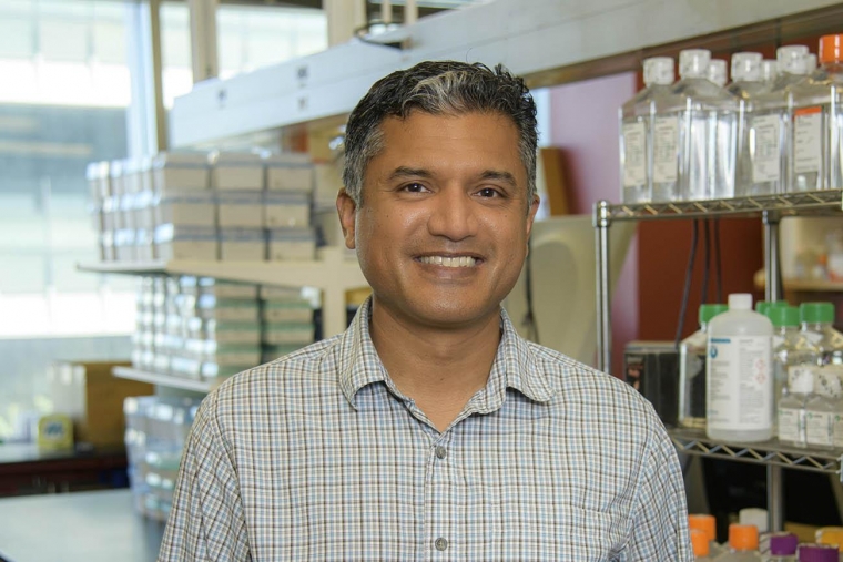 Deepta Bhattacharya, PhD, professor in the Department of Immunobiology at the University of Arizona College of Medicine – Tucson A man wearing a buttondown shirt stands in a medical facility and smiles.