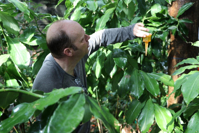 Joost van Haren, assistant professor of research at Biosphere 2, measures rainfall as part of B2 WALD drought recovery experiment. Joost van Haren, assistant professor of research at Biosphere 2, measures rainfall as part of B2 WALD drought recovery experiment.