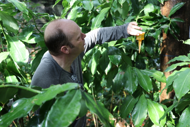 Joost van Haren, assistant professor of research at Biosphere 2, measures rainfall as part of B2 WALD drought recovery experiment.  