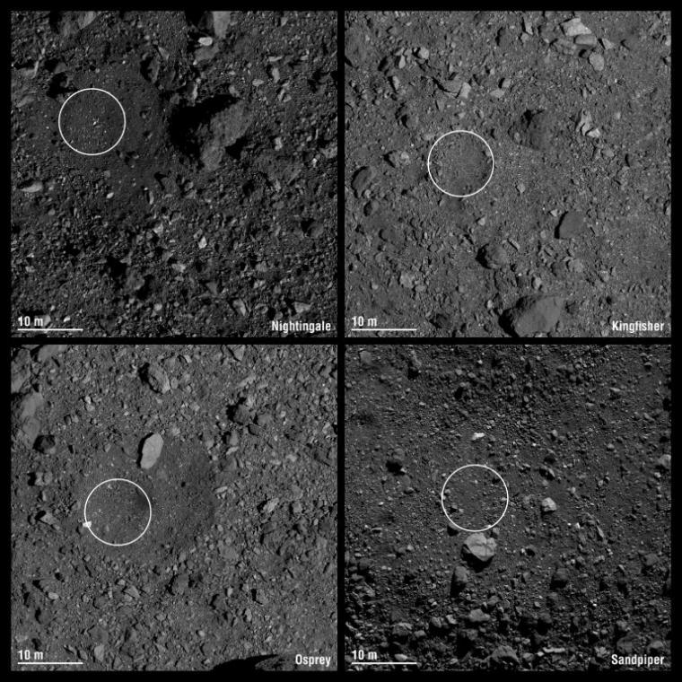 The final four candidate sample collection sites on asteroid Bennu are designated Nightingale, Kingfisher, Osprey and Sandpiper. Each circle has a 16.4 ft radius. Credit: NASA/Goddard/University of Arizona The final four candidate sample collection sites on asteroid Bennu are designated Nightingale, Kingfisher, Osprey and Sandpiper. Each circle has a 16.4 ft radius. Credit: NASA/Goddard/University of Arizona