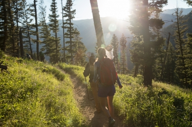 Volunteer citizen scientists hike out to observe butterflies