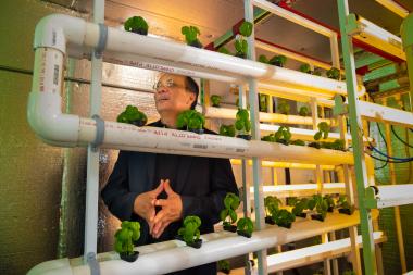 Joel Cuello believes minimally structured, modular, pre-fabricated vertical farm design systems will play an integral role in making vertical farms commercially feasible in the future. 