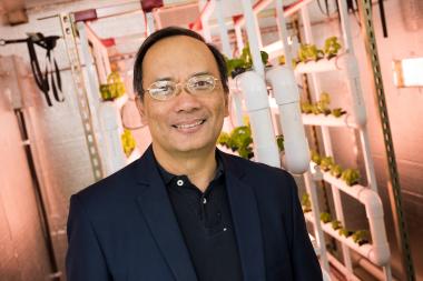 "In terms of vegetables, or some fruits like strawberries, it's more efficient to grow them in vertical farms, where you can recycle the nutrients and use solar radiation for energy," Joel Cuello says. "Land in some cities is very expensive, but you can "In terms of vegetables, or some fruits like strawberries, it's more efficient to grow them in vertical farms, where you can recycle the nutrients and use solar radiation for energy," Joel Cuello says. "Land in some cities is very expensive, but you can