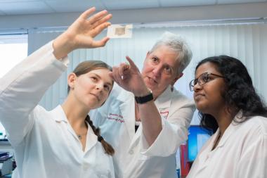 Meredith Hay , a professor of physiology, is also working on the study. Meredith Hay , a professor of physiology, is also working on the study.